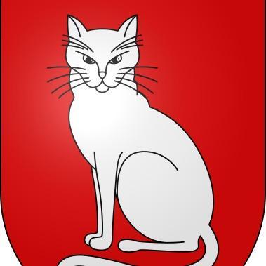 Gatos FC