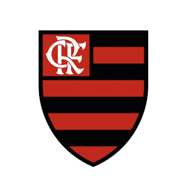 Flamengo Vôlei