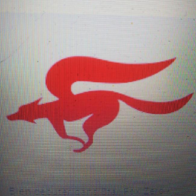Star Fox