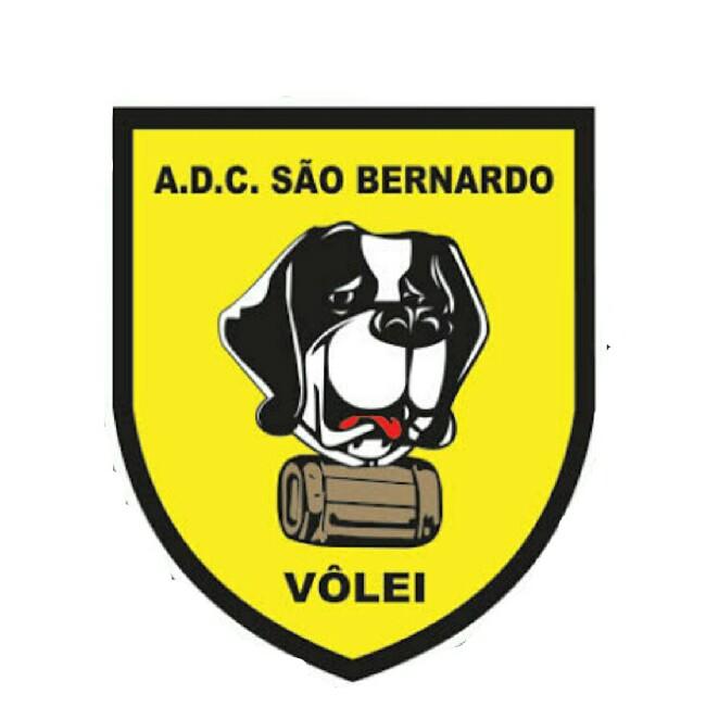 Vôlei São Bernardo
