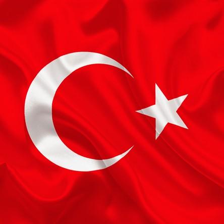 Fevzi Taner - Turkey