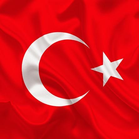 Faruk Çağlayan - Turkey