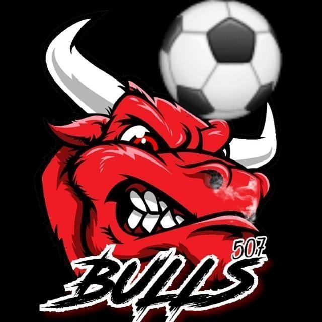 Bulls 507