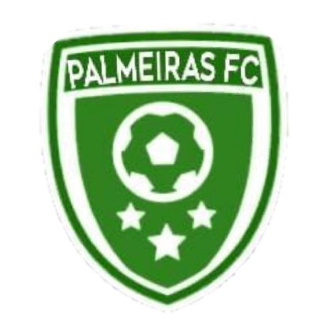12 PALMEIRAS FC JVV