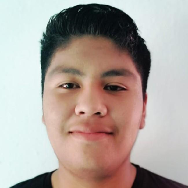 Jesús Emanuel Cárdenas Pérez