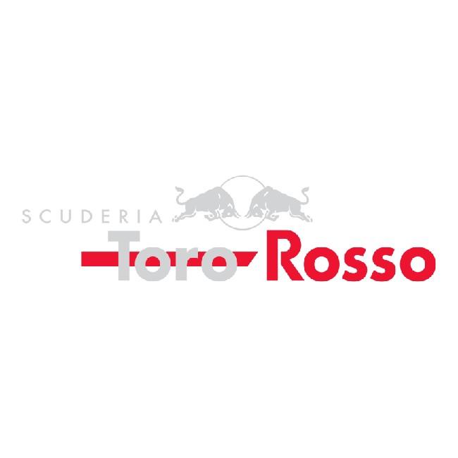ZRETIRED Scuderia ToroRosso F1