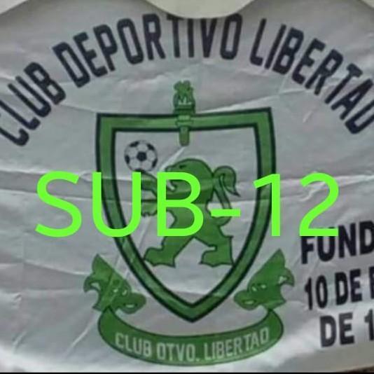 Libertad 12