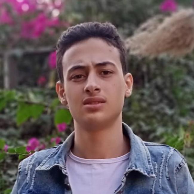 Mahmoud Emara