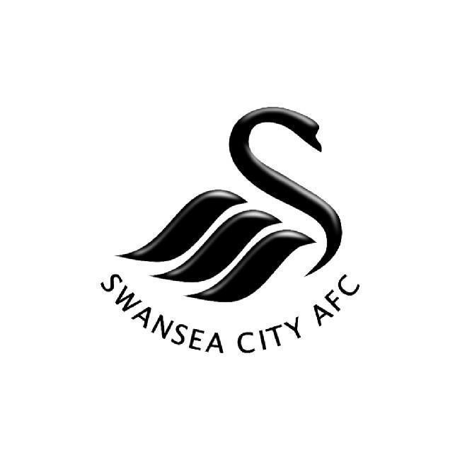 Swansea City