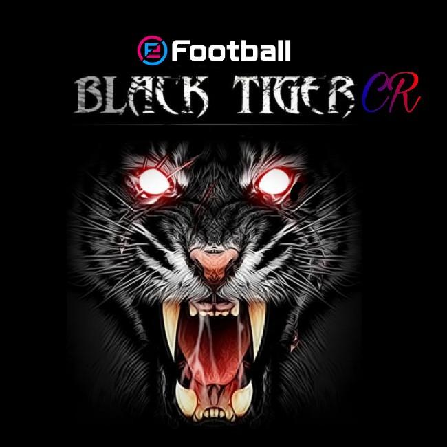 ™BLACK TIGERS CR