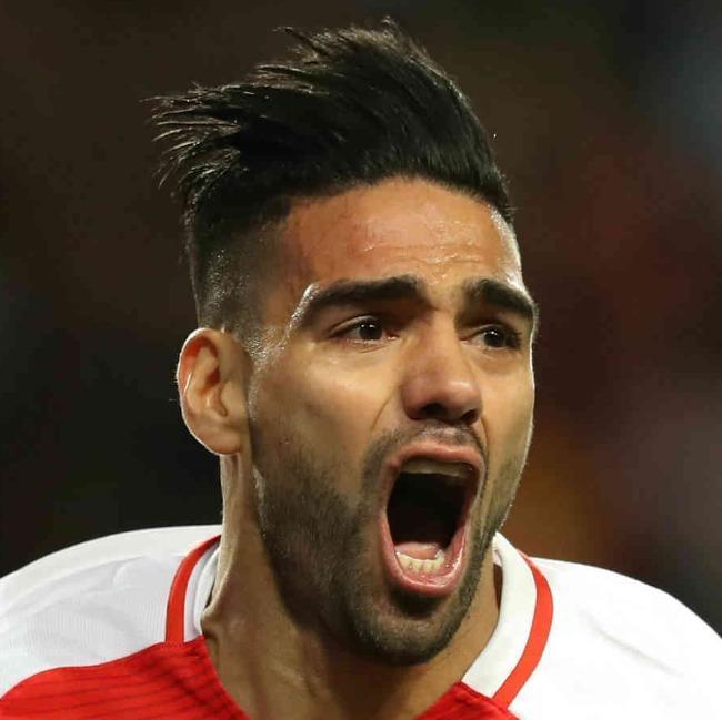 Falcao