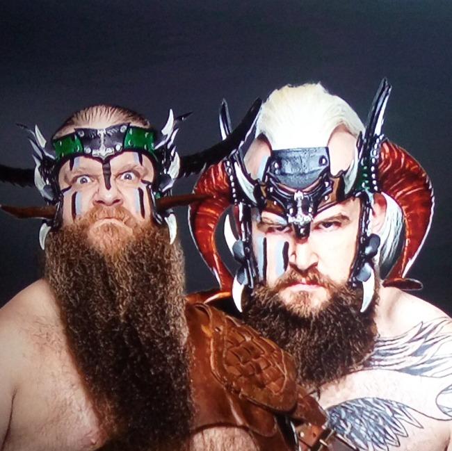 Viking Raiders