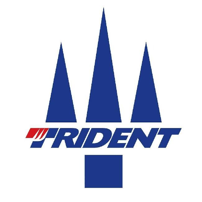 Trident Team