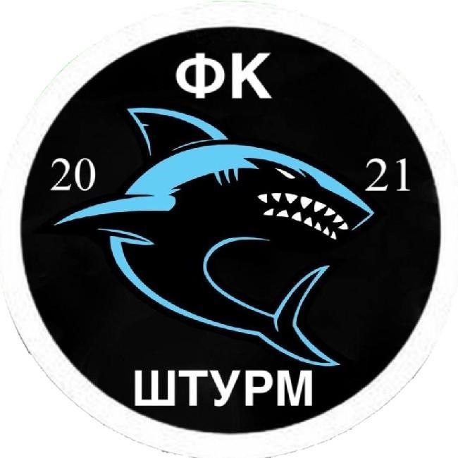 Штурм