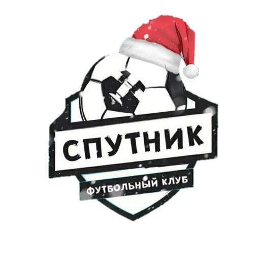Спутник