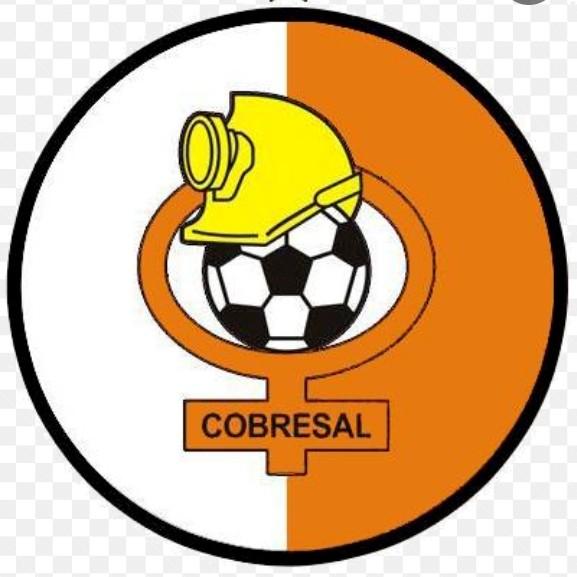 COBRESAL