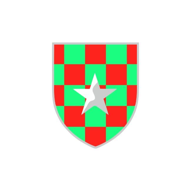 FLUMINENSE FUTEBOL CLUBE F.C MEU AMOR