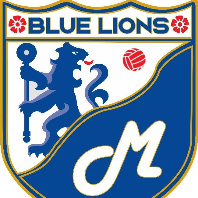 BLUE LIONS