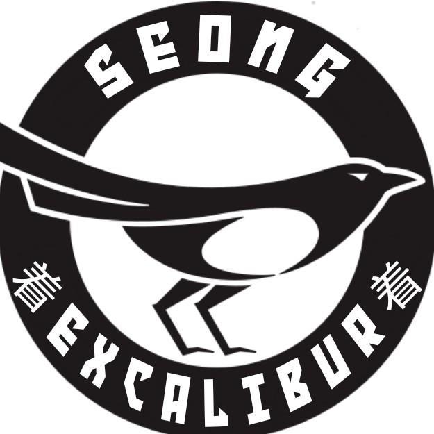Seong Excalibur