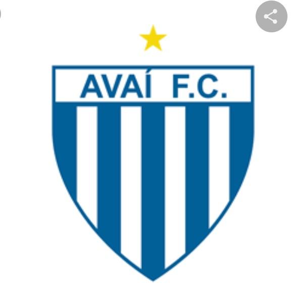 Avaí Futebol Clube