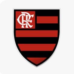 Clube de Regatas do Flamengo