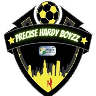 Precise Hardy Boys