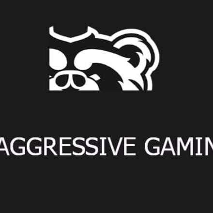 AGGRESSIVE GAMING