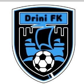 Drini