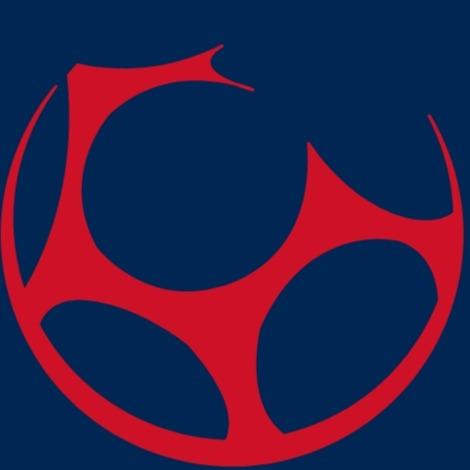 COPA DA LIGA
