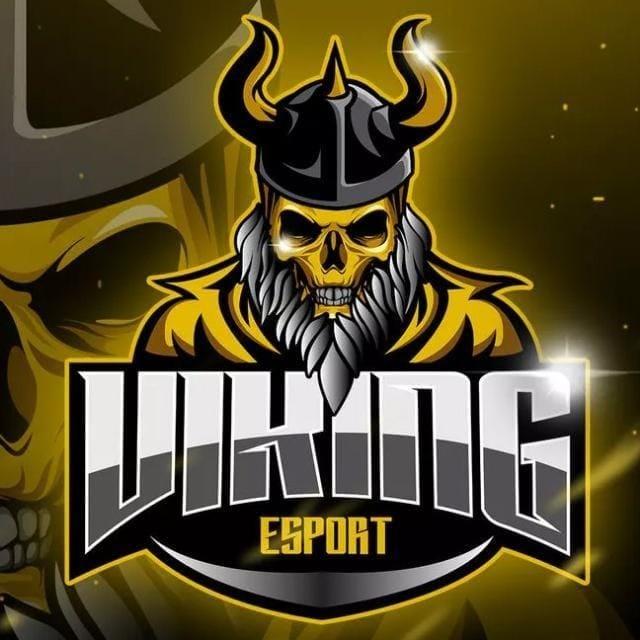 VIKINGS FC