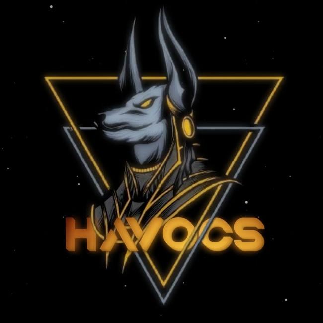 TEAM HAVOCZ