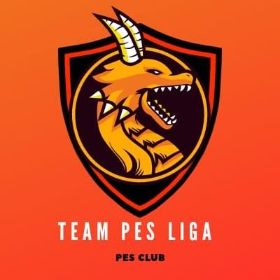 TEAM PES LIGA