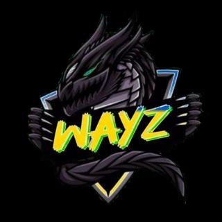 wayZ
