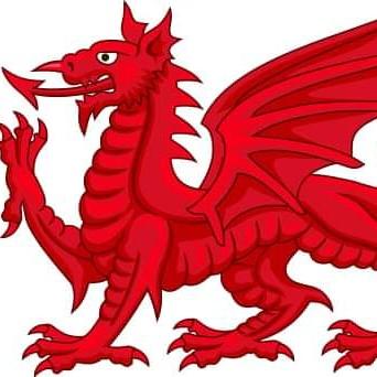 Y Ddraig Goch