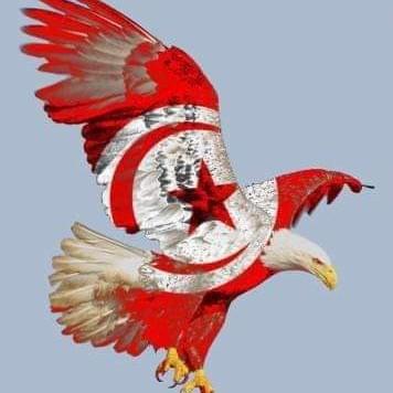Les aigles
