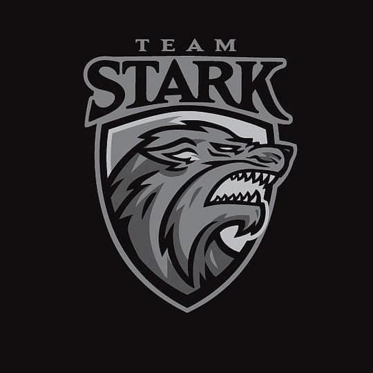TEAM STARK
