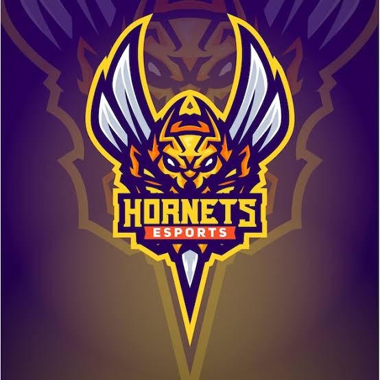 HORNET ESPORT