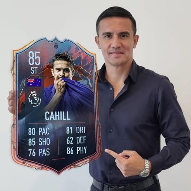 La cahillneta