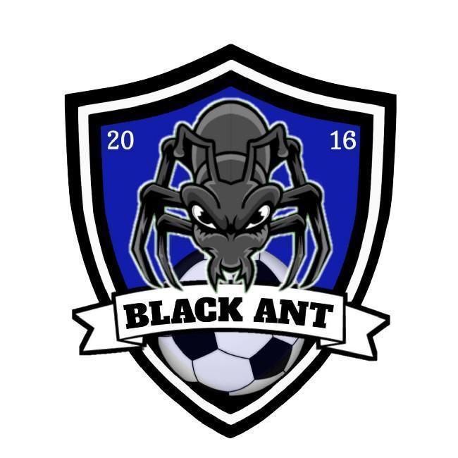 Black Ant