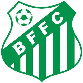 Beija Flor