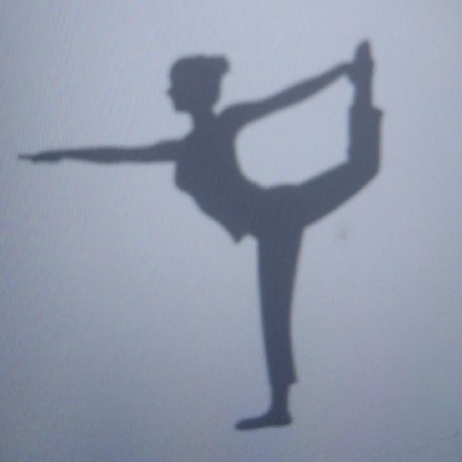 Wii Fit