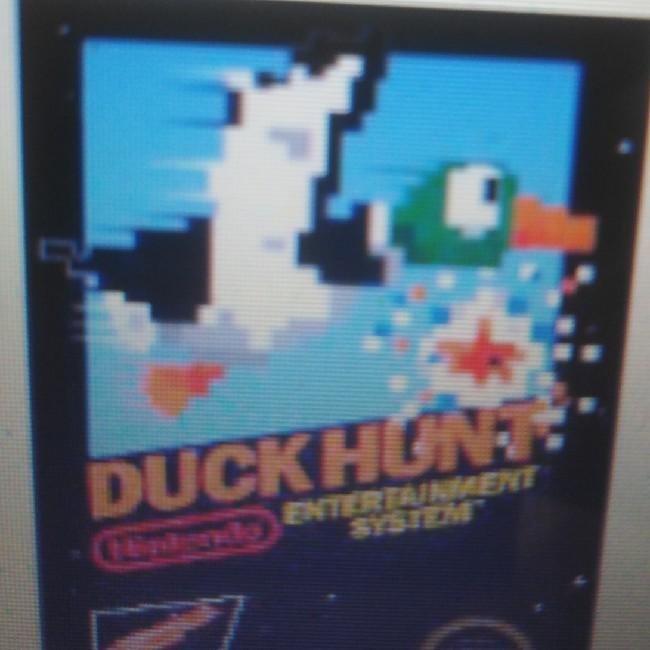 Duck - Hunt