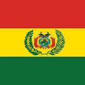 09. Limachi