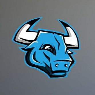 Bulls