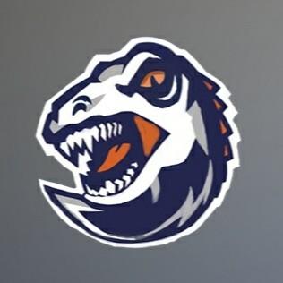 Raptors