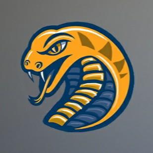 Kobras