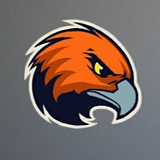 Hawks