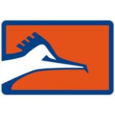 CORRECAMINOS