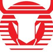 TOROS NEZA