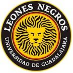 LEONES NEGROS